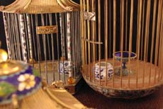 Birds Cages