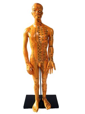 Ancienne Statue Acupuncture chinoise - Plastique - Homme 2