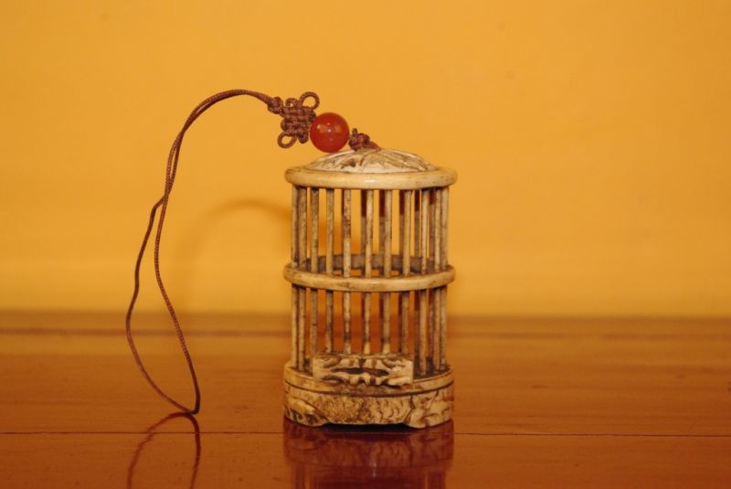 Small chinese Crickets Boxes dragonfly