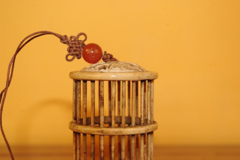Cliquez sur la vignette pour agrandir et survolez la photo pour zoomer Small chinese Crickets Boxes dragonfly