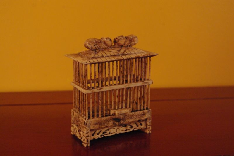 Cage à grillons Chinoise petits Chats