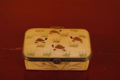Petite Boite Chinoise en Os Tortues