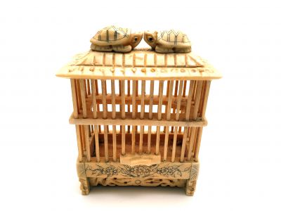 Chinese bone crickets cage with small Turtles