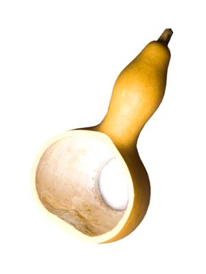 100 % natürliches Calabash-Teezubehör – Sieb