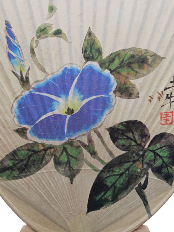 Abanicos japoneses antiguos - Uchiwa - Papel y madera - Gloria de la mañana - Correhuela azul - Amor fugaz 2