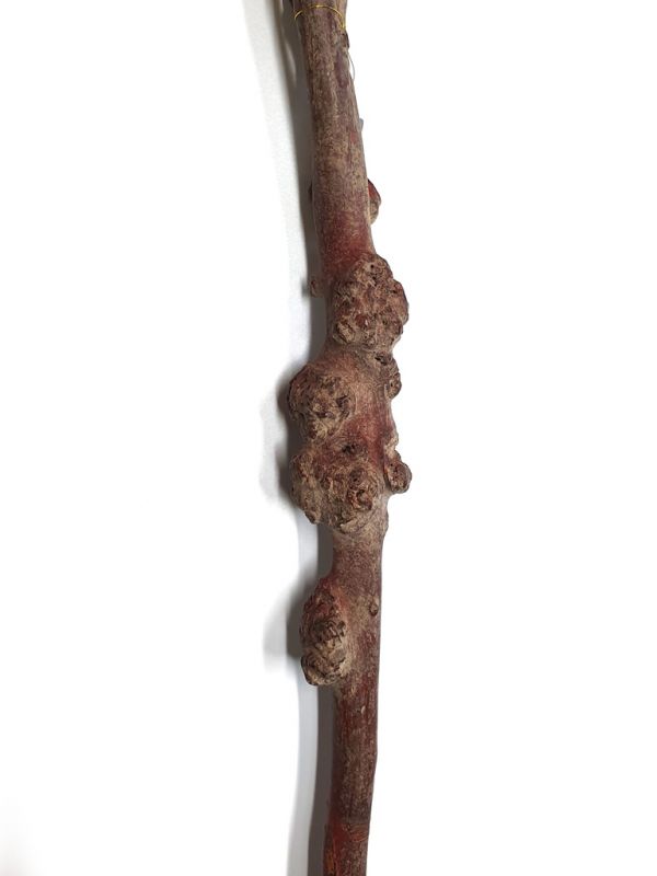 Alte chinesische Holzbürste - Qing-Dynastie - Kirschzweig 2