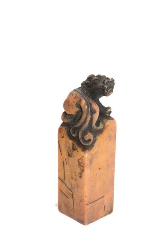 Alte Chinesische Siegel in Jade - Eidechse / Drache 2
