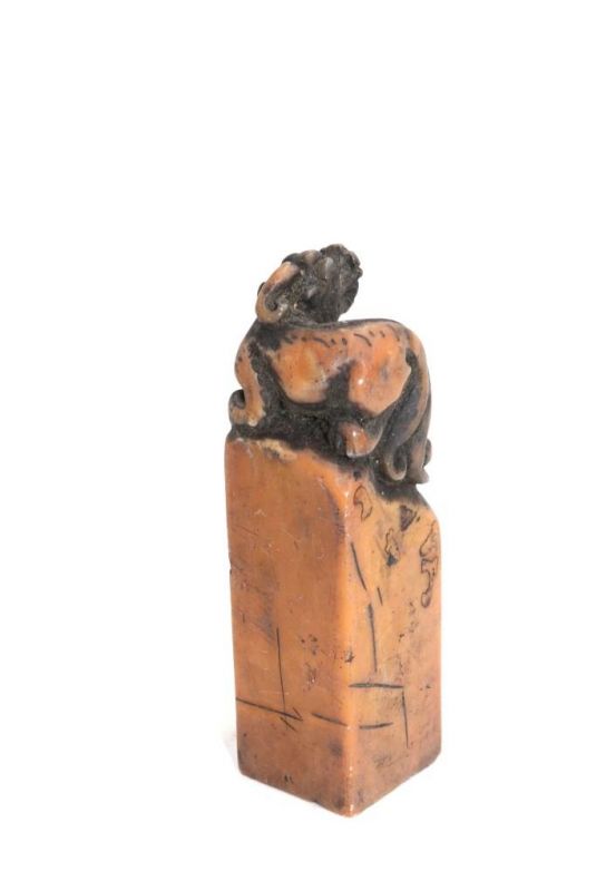 Alte Chinesische Siegel in Jade - Eidechse / Drache 3