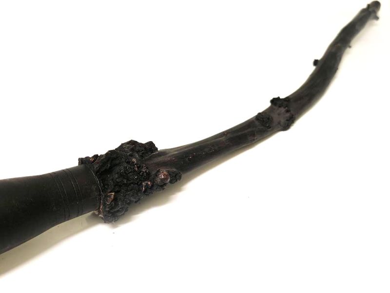 Alter Dekorativer Pinsel aus geschnitztem Kirschholz - 70cm 3