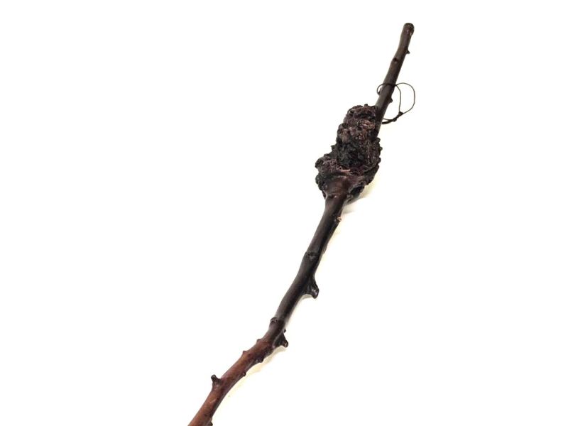 Alter Dekorativer Pinsel aus geschnitztem Kirschholz - 73cm 3