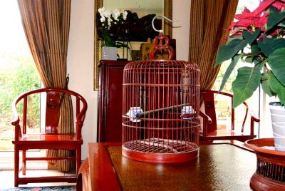 Ancienne grande cage à oiseaux en bois chinoise