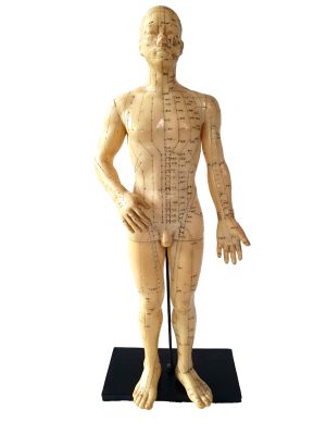 Ancienne Statue Acupuncture chinoise - Plastique - Homme 1
