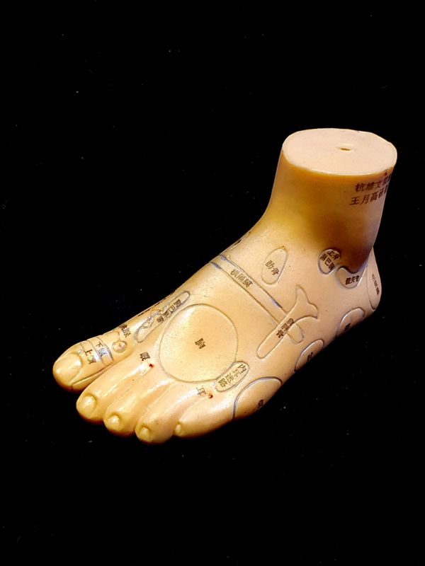 Ancient Chinese Acupuncture Statue - Plastic - Foot 1