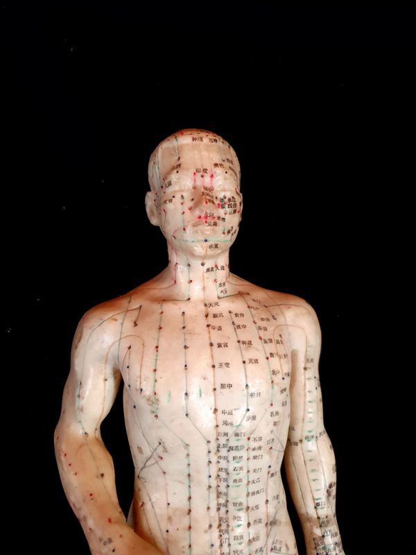 Ancient Chinese Acupuncture Statue - Plastic - Male 4 2