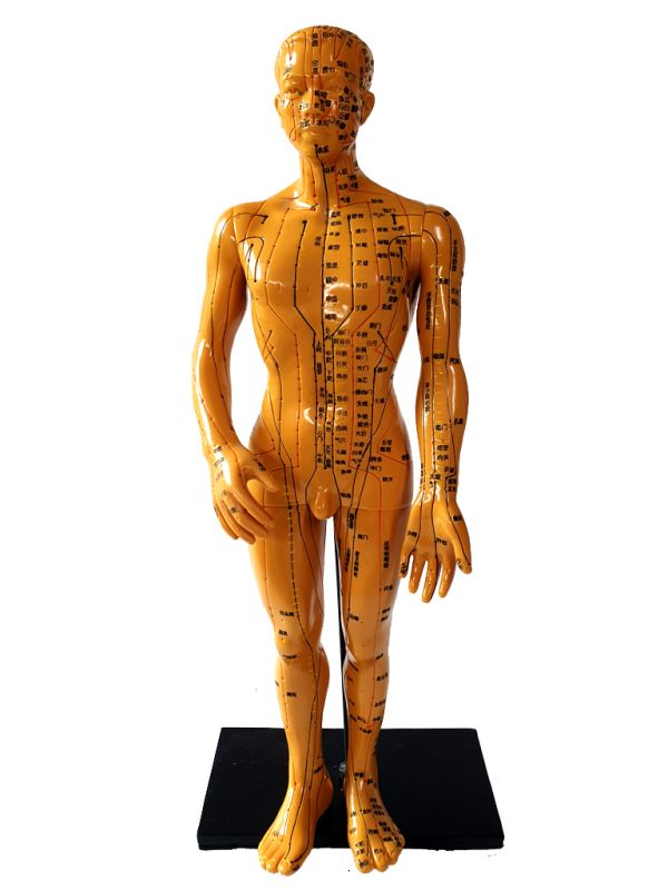Ancient Chinese Acupuncture Statue - Plastic - Male 4 1