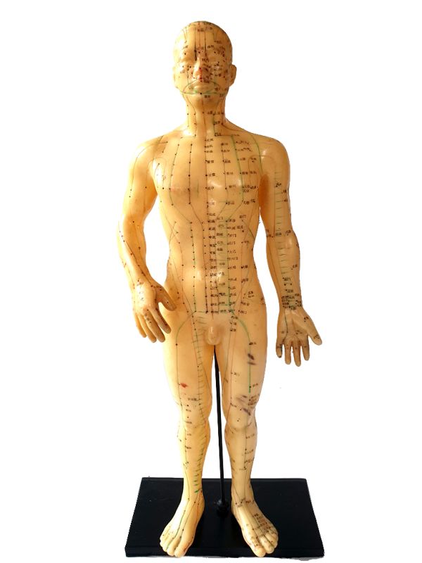 Ancient Chinese Acupuncture Statue - Plastic - Male 5 1