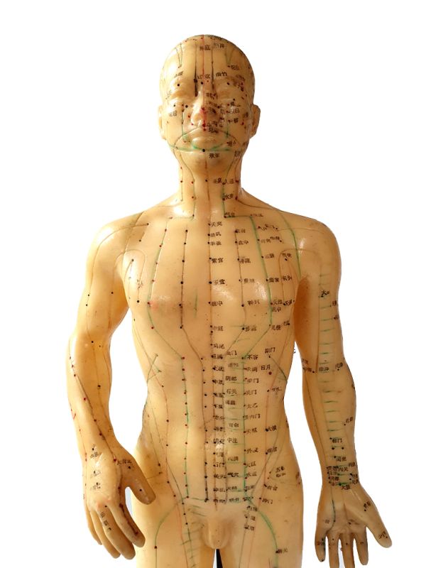 Ancient Chinese Acupuncture Statue - Plastic - Male 5 2