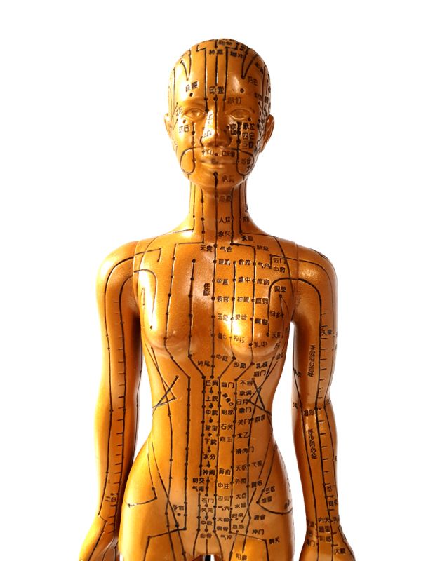 Ancient Chinese Acupuncture Statue - Plastic - Woman 1 2