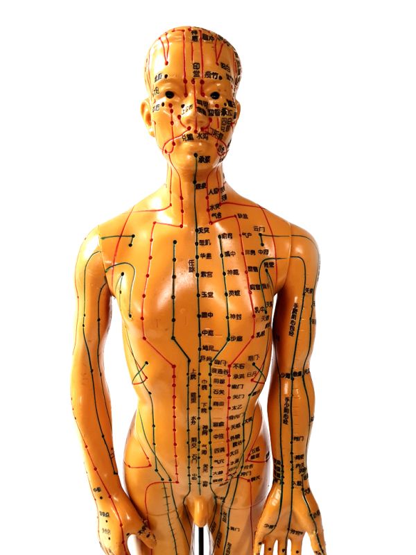 Antigua estatua de acupuntura china - Plástico - Hombre 2 2