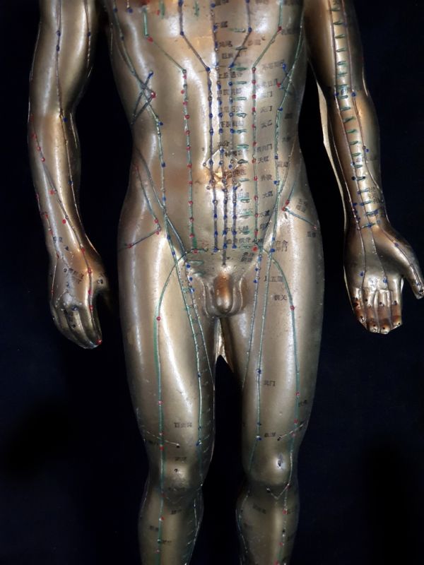 Antigua estatua de acupuntura china - Plástico - Hombre 22 3