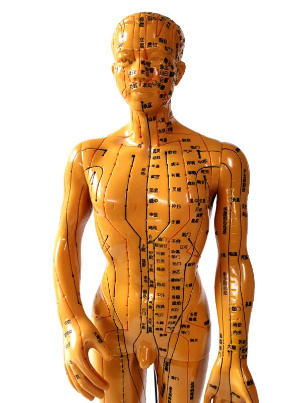 Antigua estatua de acupuntura china - Plástico - Hombre 4 2