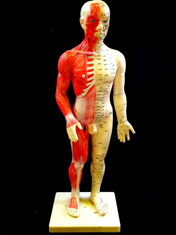 Antigua estatua de acupuntura china - Plástico - Hombre grande en la base 1