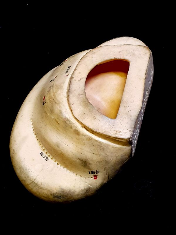 Haga clic en la imagen para ampliar Antigua estatua de acupuntura china - Plástico - Oreja grande 3