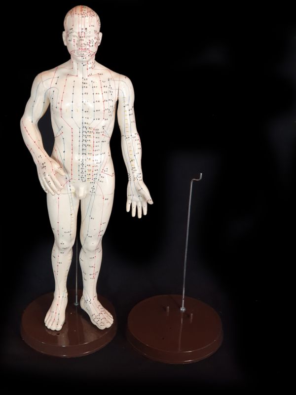 Antigua estatua de acupuntura china - Plástico - Soporte de plástico para estatua de acupuntura 1