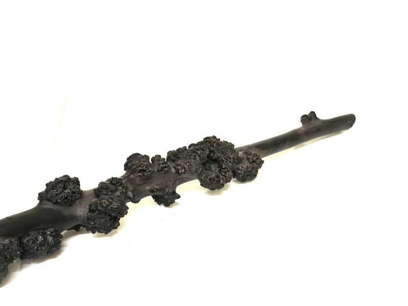 Antiguo pincel decorativo de madera de cerezo tallada - 59cm 3