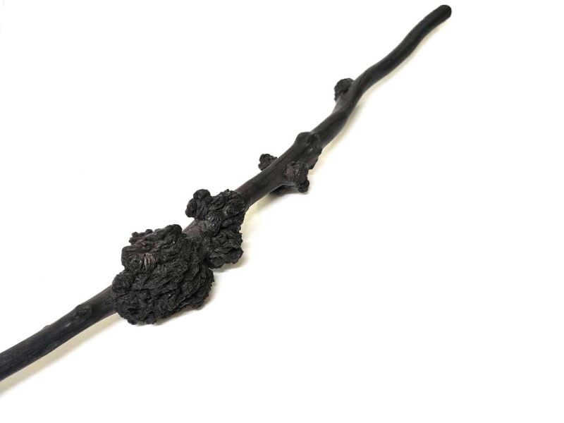 Antiguo pincel decorativo de madera de cerezo tallada - 73cm 3