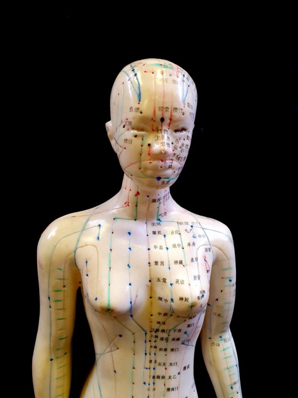Antike chinesische Akupunktur-Statue - Plastik - Frau 2 2
