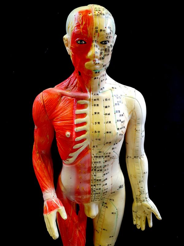 Antike chinesische Akupunktur-Statue - Plastik - Großer Mann auf Sockel 2