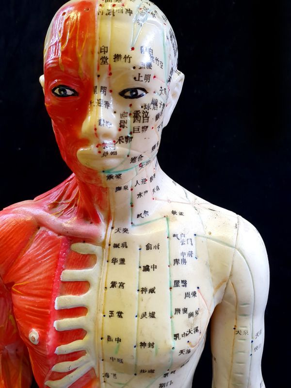 Antike chinesische Akupunktur-Statue - Plastik - Großer Mann auf Sockel 4