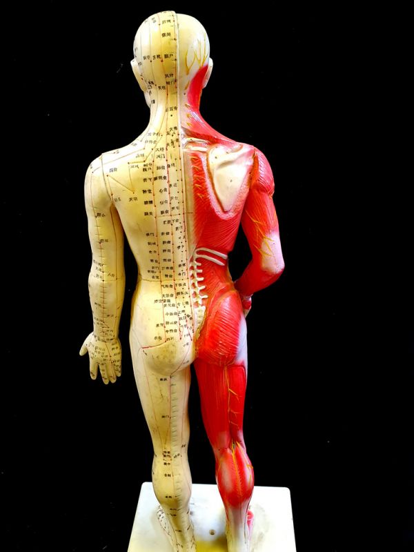 Antike chinesische Akupunktur-Statue - Plastik - Großer Mann auf Sockel 5