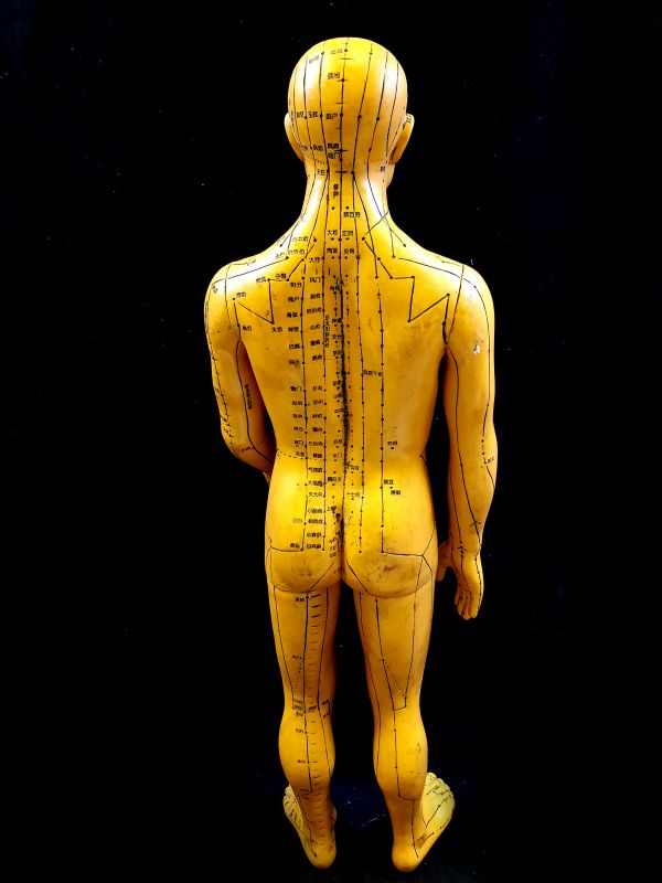 Antike chinesische Akupunktur-Statue - Plastik - Man - Bronze-Effekt 4