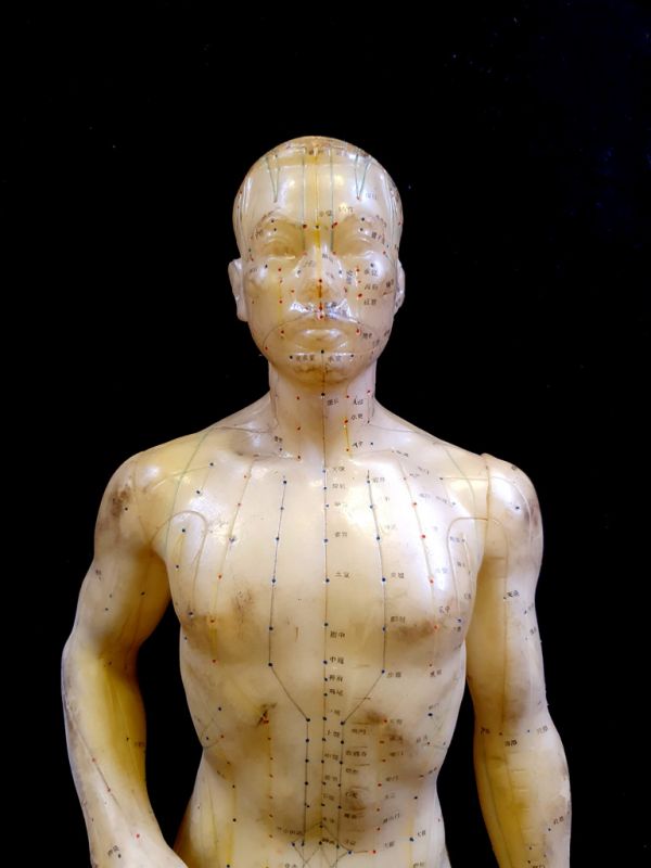 Antike chinesische Akupunktur-Statue - Plastik - Mann 2 2