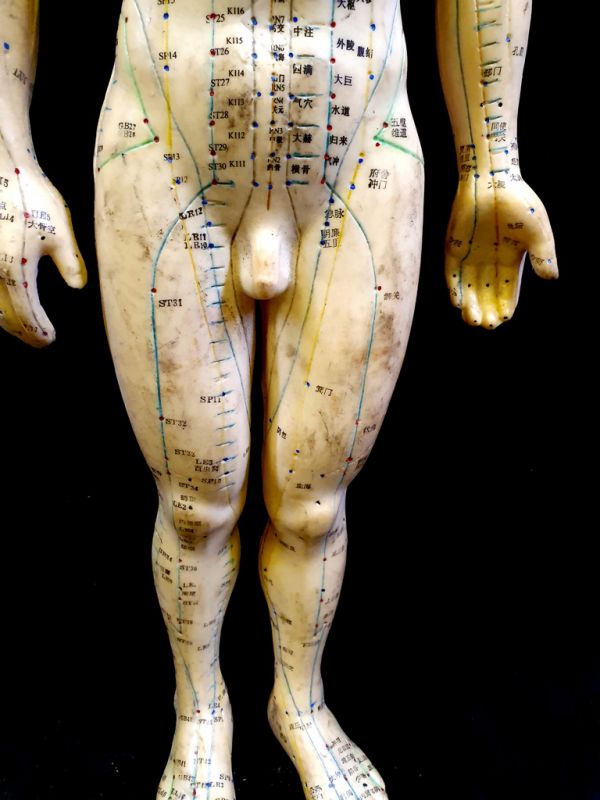 Antike chinesische Akupunktur-Statue - Plastik - Mann 5 3