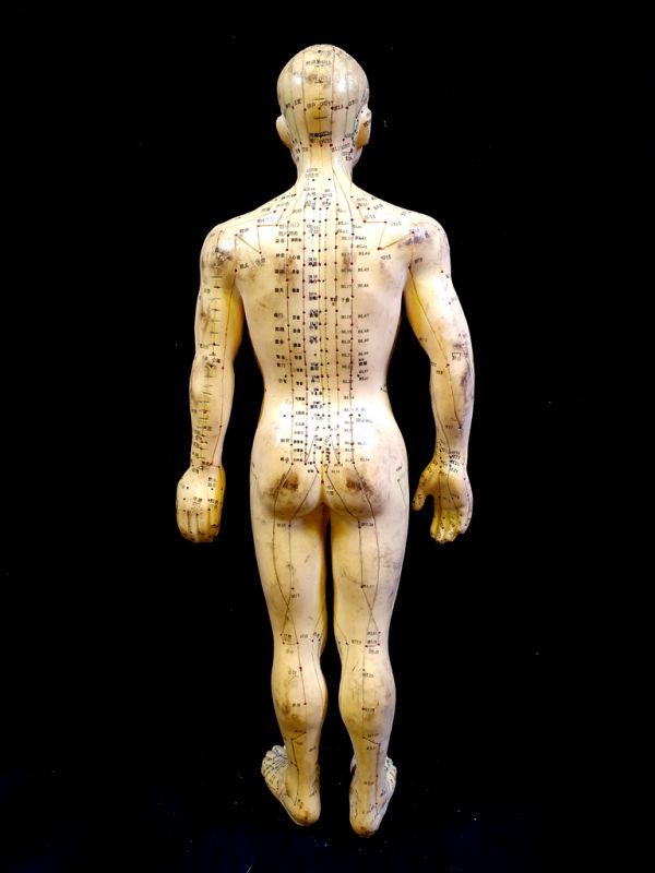Antike chinesische Akupunktur-Statue - Plastik - Mann 5 4
