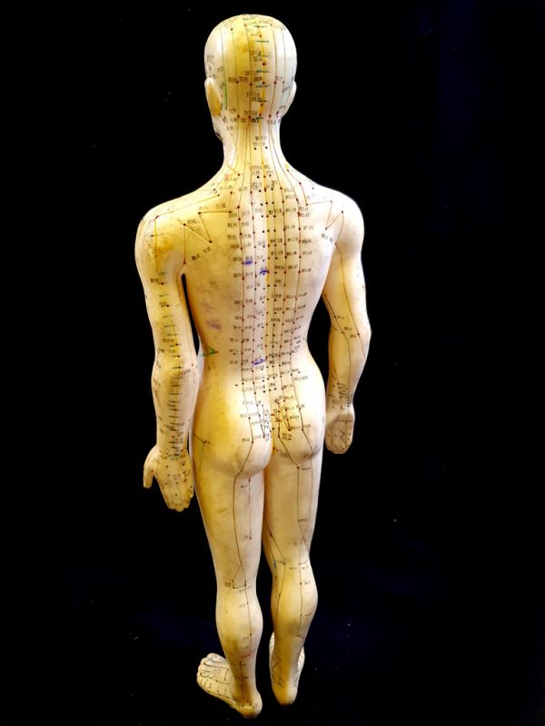 Antike chinesische Akupunktur-Statue - Plastik - Mann 4