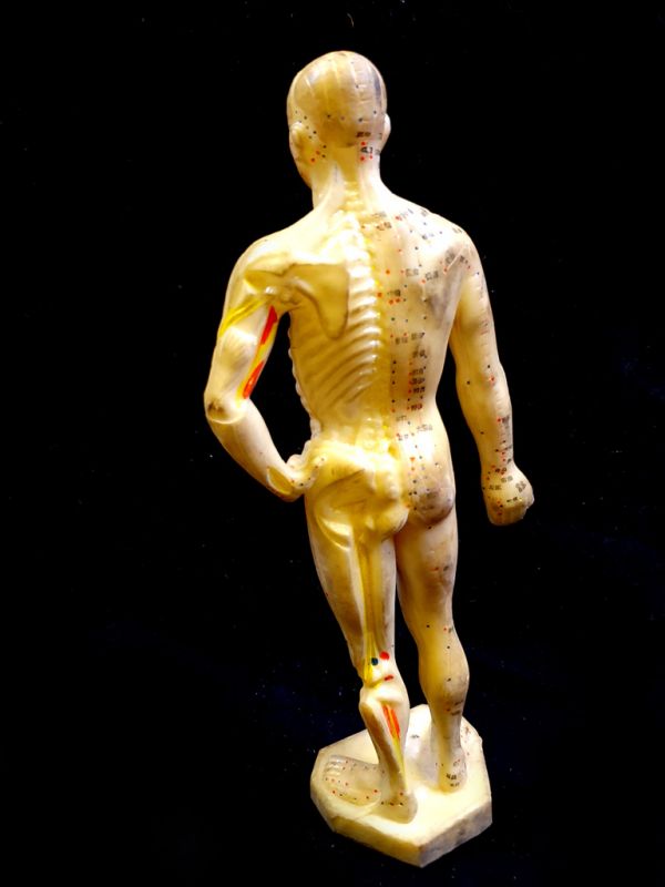 Antike chinesische Akupunktur-Statue - Plastik - Mann - kleine Statue 4