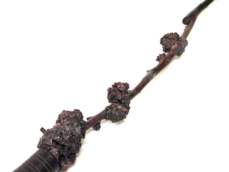 Antique Decorative Cherry Wood Carved Brush - 72cm 4