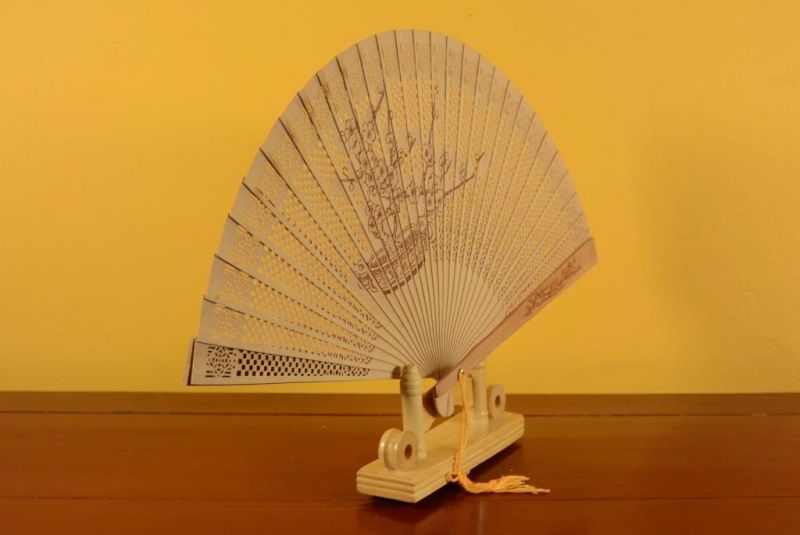 Asiatische Fächer Sandelholz Bonsai 4