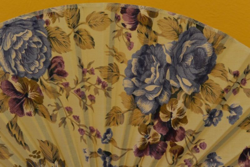 Asiatischen Fächer Blumen 2