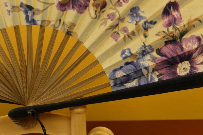 Asiatischen Fächer Blumen 3