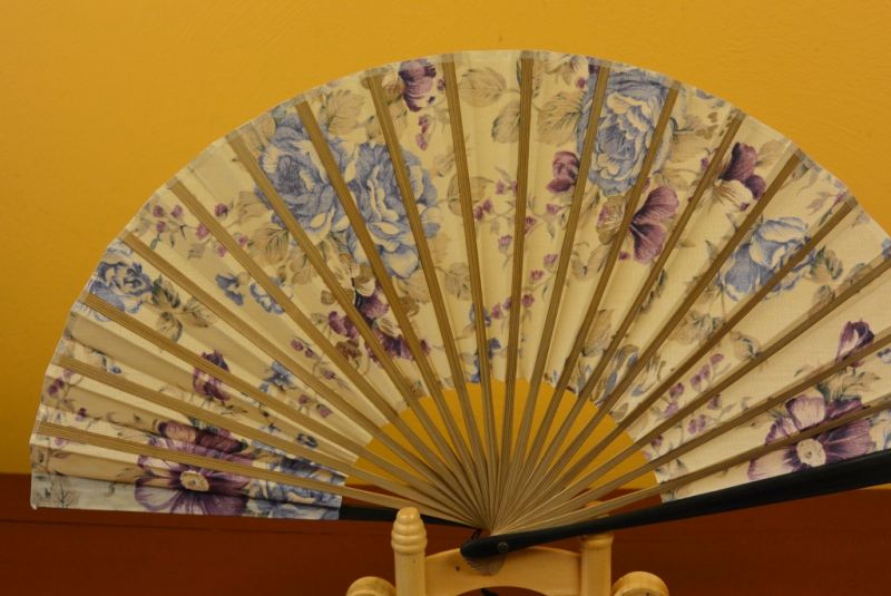 Asiatischen Fächer Blumen 5