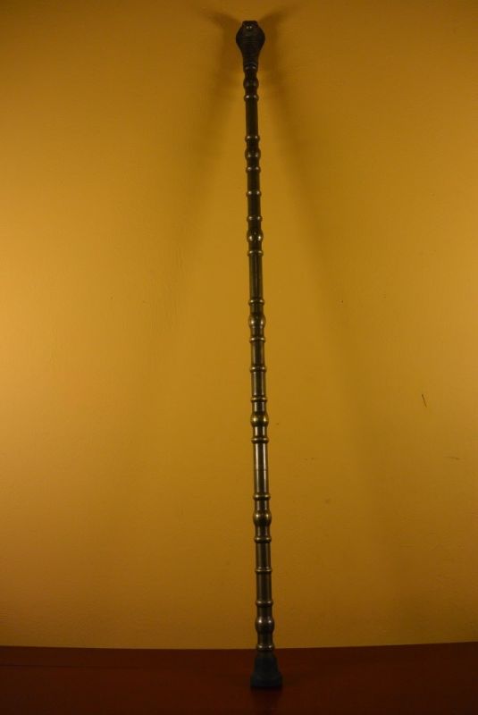 Bastón chino Zodiacal Zodiaco Serpiente 3