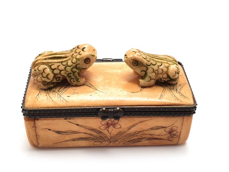 Bone box Frogs 1