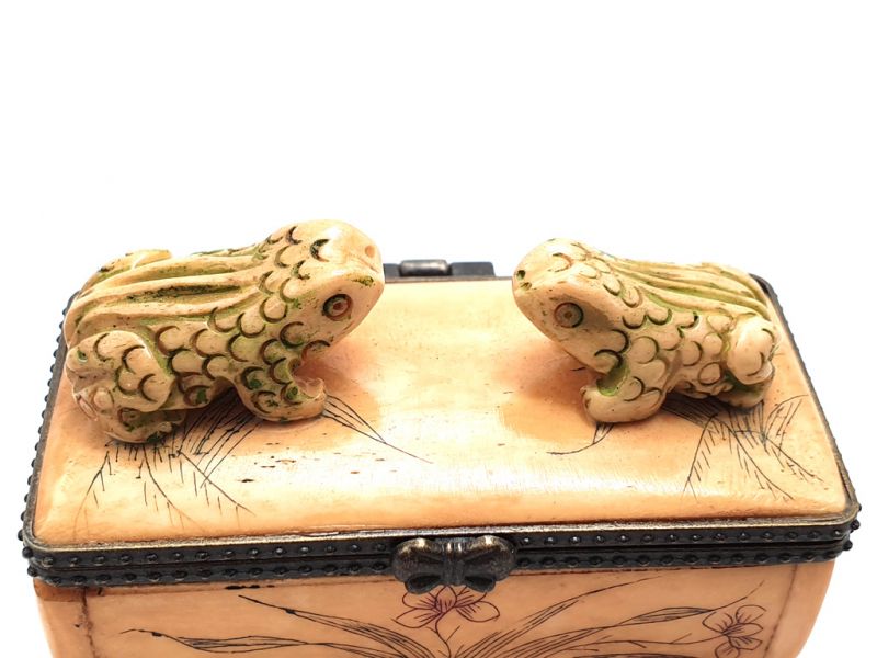 Bone box Frogs 3