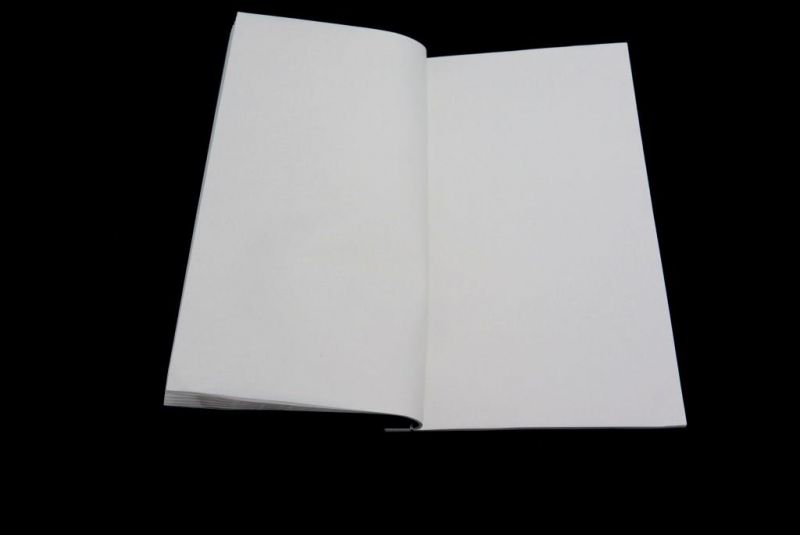 Cahier pour la calligraphie - Papier de riz - Petit 26x16cm 2