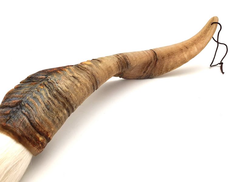 Calligraphie Brush with Antelope Horn handle 3